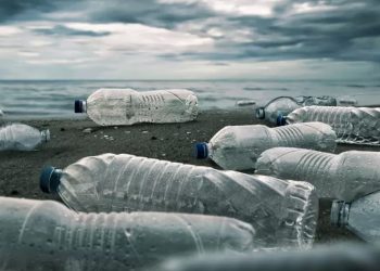 Indonesia Meluncurkan Program “Merdeka Dari Sampah Plastik” untuk Mengatasi Krisis Lingkungan