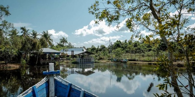 Pengembangan Ekowisata Desa di Desa Terong Kembang Meningkatkan Pendapatan Warga