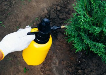 Teknologi Katalisator: Mendorong Revolusi Hijau di Industri Kimia