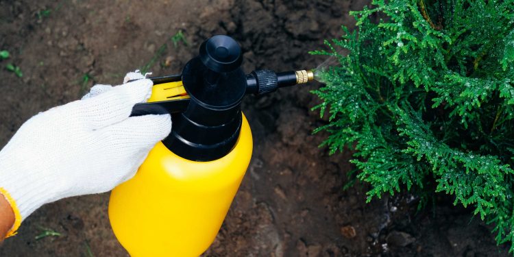 Teknologi Katalisator: Mendorong Revolusi Hijau di Industri Kimia