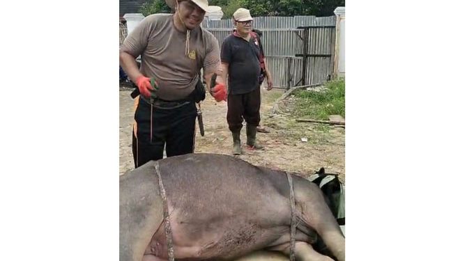 Masjid Alhilal Sembelih 10 Ekor Hewan Kurban