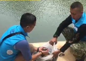 Hari Sungai Nasional, PT. Yaga Yingde Lepaskan Ratusan Ikan di Sungai Citanduy