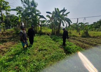 Brimob Jabar Cek Langsung Lokasi Ketahanan Pangan di Desa Winong