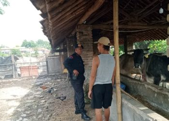 Rawan Pencurian Ternak, Anggota Brimob Cirebon Tingkatkan Patroli