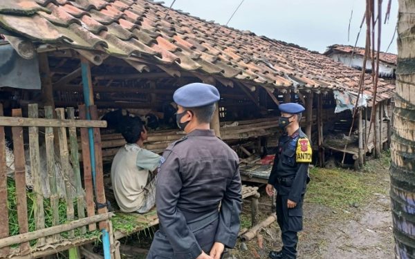 Rawan Pencurian Ternak di Cirebon, Brimob Jabar Tingkatkan Patroli