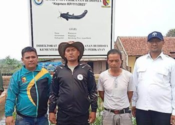 Desa Padaulun Berikan Solusi Ketahanan Pangan Melalui Kolam Ikan Lele