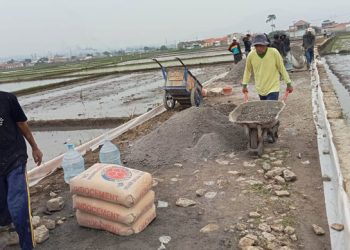 Pengecoran Jalan di Padaulun Harapan Baru Peningkatan Ekonomi Masyarakat
