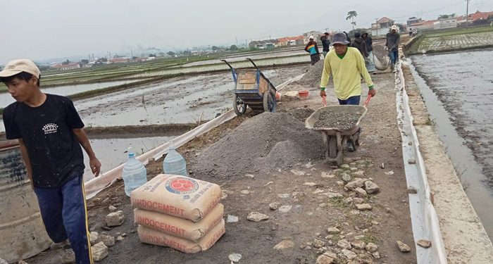 Pengecoran Jalan di Padaulun Harapan Baru Peningkatan Ekonomi Masyarakat