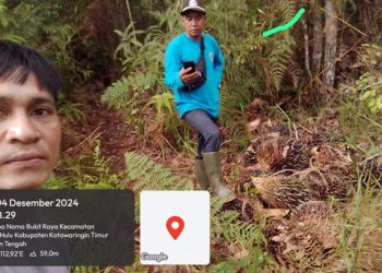 Dua Satpam Berhasil Gagalkan Pencurian Buah Sawit