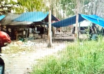 Sabung Ayam di Sampit-Kotim Dibekingi Aparat?