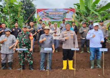 Kapolsek Ibun Pimpin Program Ketahanan Pangan, Tanam Jagung Serentak 1 Juta Hektar