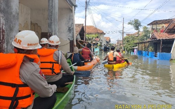 Kini Tim SAR Batalyon A Pelopor Evakuasi Banjir di Desa Dayeuh Kolot Bandung