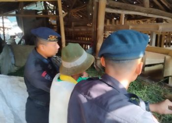 Antisipasi Pencurian Hewan Ternak, Brimob Cirebon Gencar Patroli