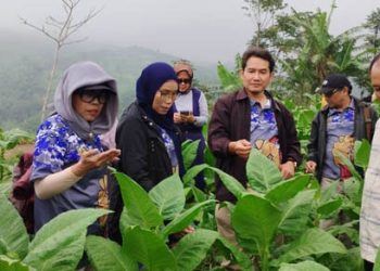 Prawita Genppari Rumuskan Strategi Desa Wisata Melalui Tembakau