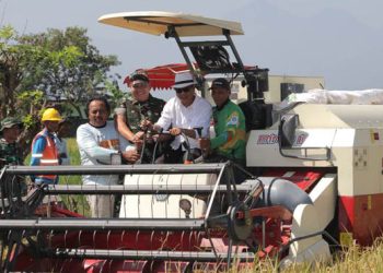 Panen Raya Padi Bersama Presiden, Ini 3 Kebijakan Bupati Bandung yang Pro Petani
