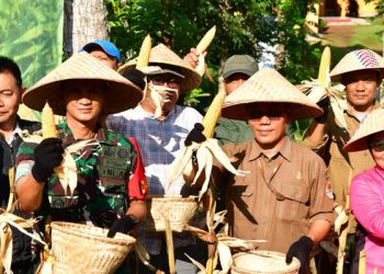 Polres Pangandaran Panen  Raya Jagung di Bukit Baruno