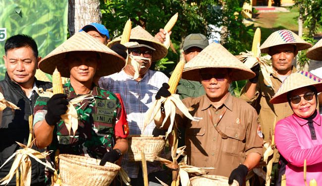 Polres Pangandaran Panen  Raya Jagung di Bukit Baruno
